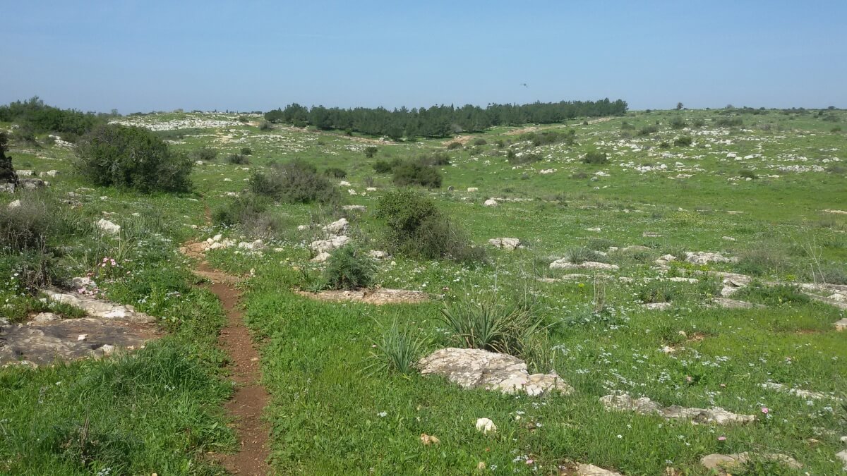 בין חריש למענית