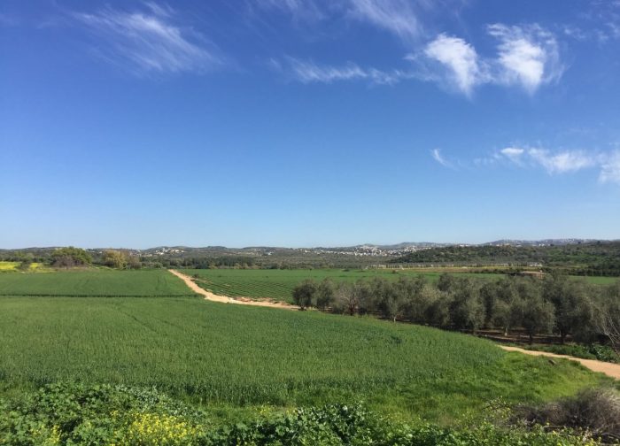 העמק מדרום לשכונת הפרחים בחריש