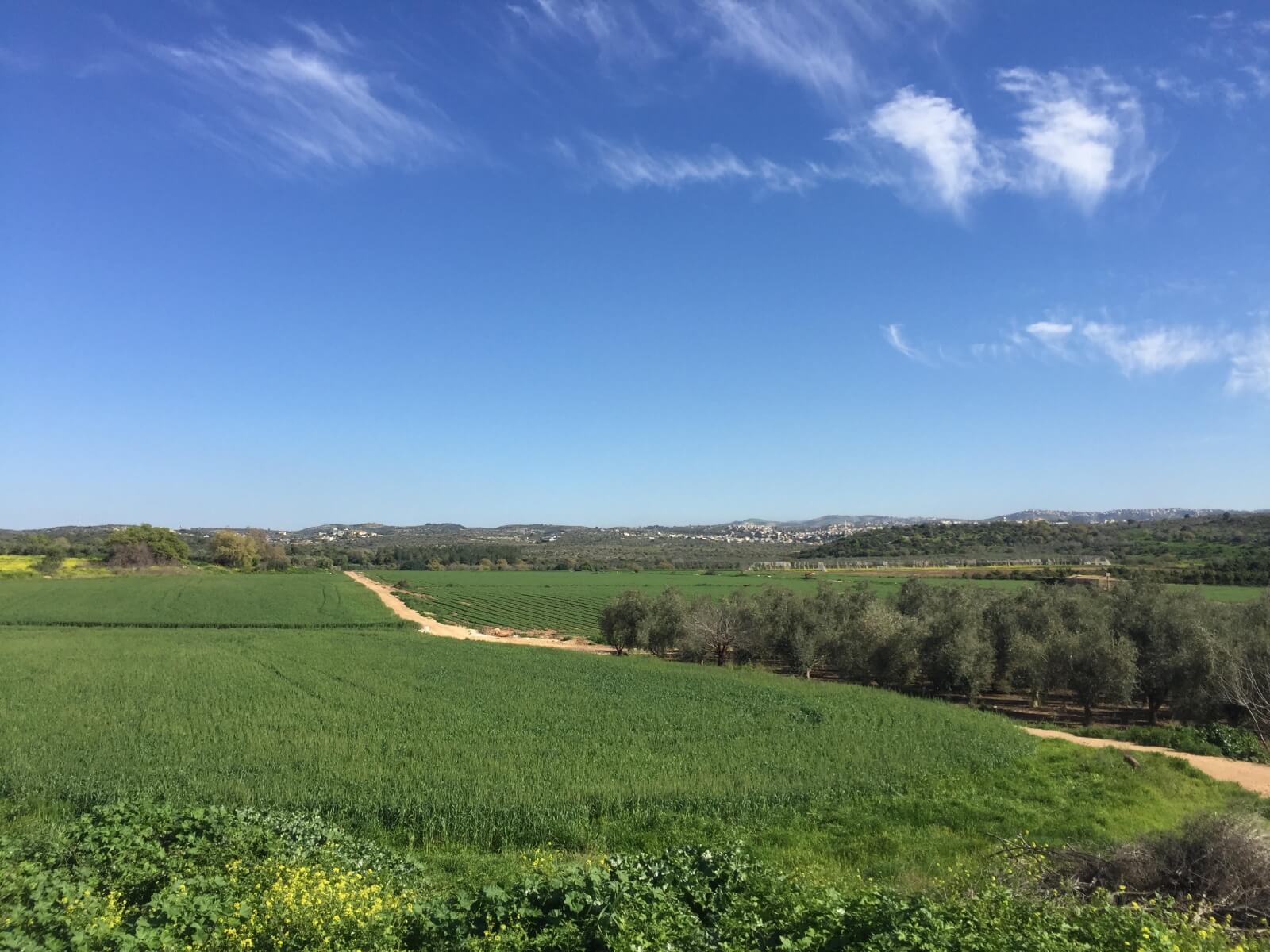 העמק מדרום לשכונת הפרחים בחריש