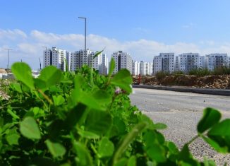 מבט מכיוון מערב שכונת מעו"ף