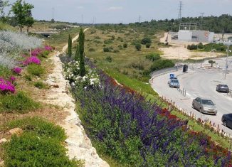 גינון אקולוגי גינון בר קיימא צילום: דוברות עיריית חריש