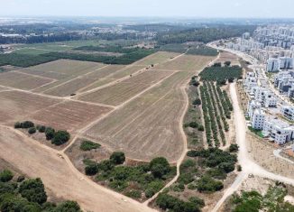 שכונת בצוותא מבט על יולי 2023 חריש דרום