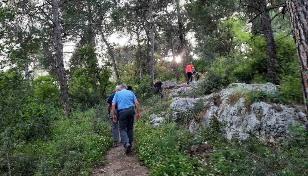 טיולים תל זאבים עמיקם הרפז שכונת הפרחים