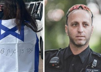 דן גנות