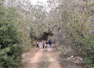 נחל נרבתה נרבתא פינת החרוב צילום: רועי כהנא, רשות ניקוז ונחלים שרון