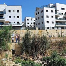 בצוותא נרבתה צילום: נתן בן יוסף