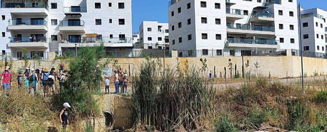 בצוותא נרבתה צילום: נתן בן יוסף