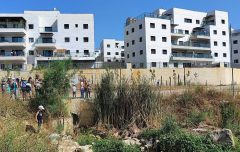 נרבתה בצוותא נתן בן יוסף