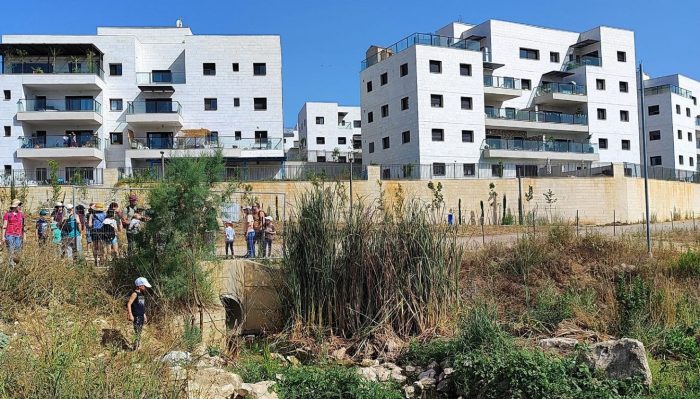 נרבתה בצוותא נתן בן יוסף