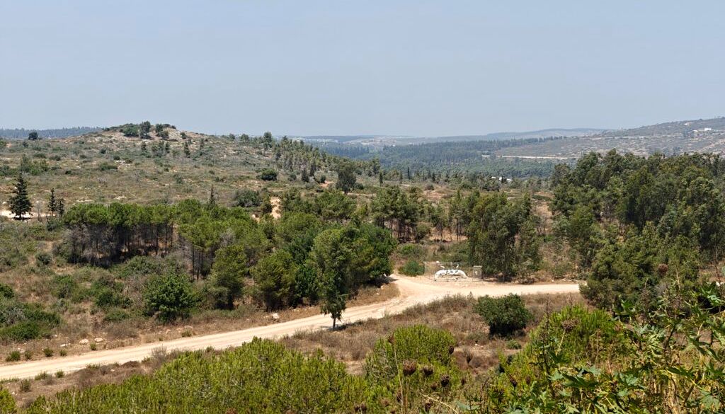 חריש צפון גבעות עירון החברה להגנת הטבע
