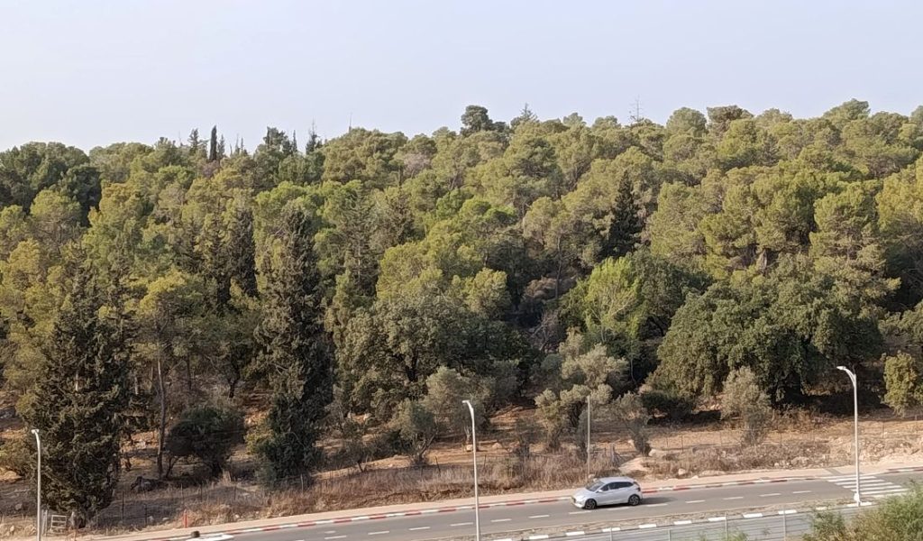 תל זאבים. צילום: קרין גפן