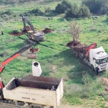 עצי אלון, חריש דרום, רחל קסל