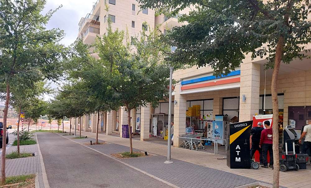 שדרת ההגשמה